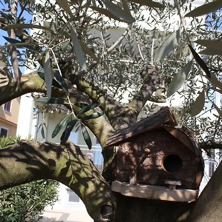 丽丽公寓别墅 公寓 乌马格