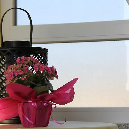 Lili Apartment Umag